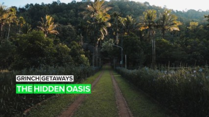 Grinch Getaways: The Thai hidden gem in the forest