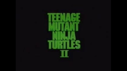 Teenage Mutant Ninja Turtles_2