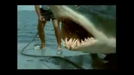 Човек Излиза От Устата На Акула - Невероятно