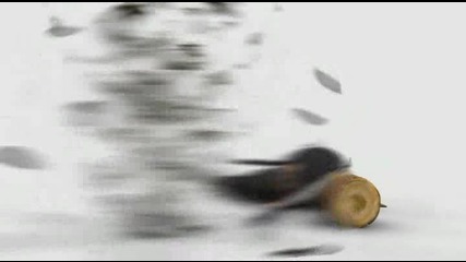 95.flv