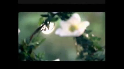 Demi Lovato Gift of a Friend Music Video
