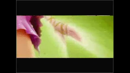 Flora Movie Enchantix