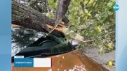 ОПАСНО ВРЕМЕ: Бурен вятър причини щети в цяла България