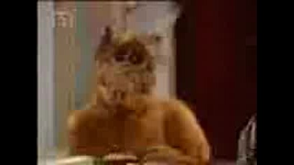Alf - 3x14 - Fight Back