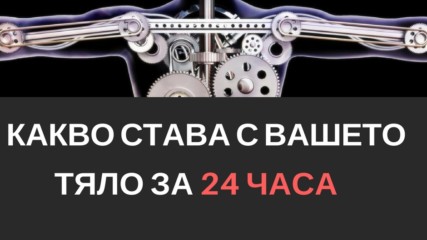 Какво става с вашето тяло за 24 часа