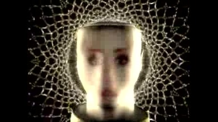 Fiona Apple - Extraordinary Machine