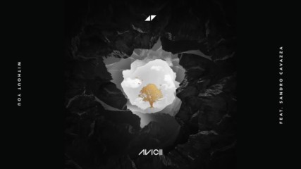 Avicii feat. Sandro Cavazza - Without You