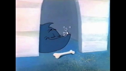 Warner Bros - 062764 Hawaiian Aye Aye Mm 