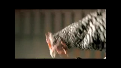 Billy Talent - Fallen Leaves (video)