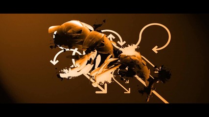 Fluke - Zion