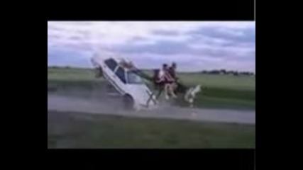 Тея направо избиха местното население !!!