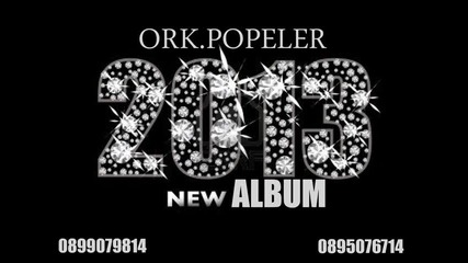 new ork. Popeler 2013 - 2 Diskoteka