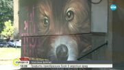Графити преобразиха блок в Бургас