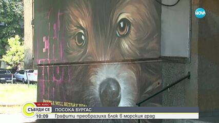 Графити преобразиха блок в Бургас
