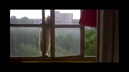 невъзможна мисия..моля, моля няма невъзможни неща..;)