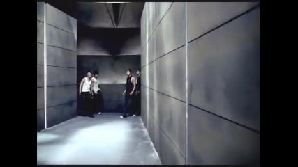 T V X Q - Mirotic
