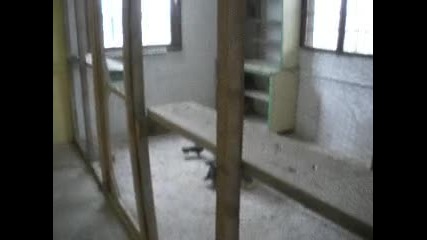 Бейти Билял Севар 