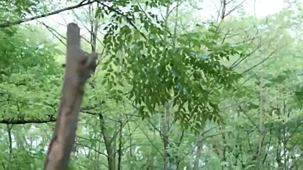 Heavy Sweetness, Ash-like Frost (2018) / Тежката сладост на любовта от пепелта - E19