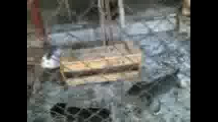 movie3 