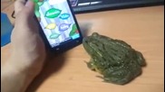Вижте как може да вбесите жаба