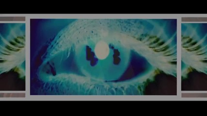 Arash Feat. Sean Paul - She Makes Me Go (remix Official Videoclip)