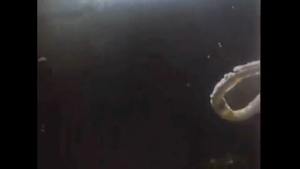 The Prodigy - Piranha (clip) [www.keepvid.com]