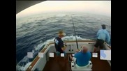 Новозеландски рибар улови гигантски марлин, тежащ половин тон