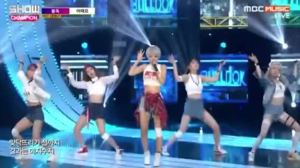 243.1026-1 Bulldok - Why Not, [mbc Music] Show! Champion E205 261016