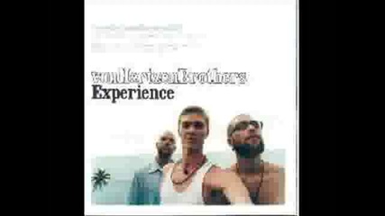 Von Hertzen Brothers - Immortal Life