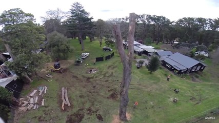 Drone Filming Tree Workers 2014
