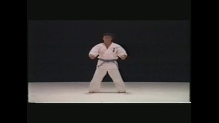 Mas Oyama - zenkutsu dachi - kick