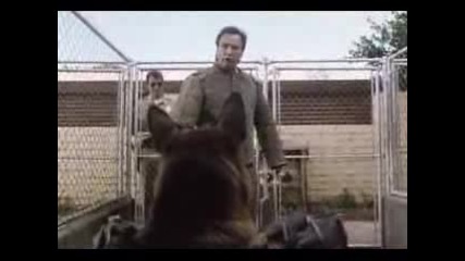 K - 9 Trailer