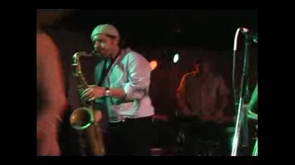 live in Toronto,  March 2008 - Dengue Fever