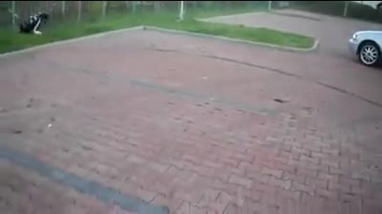 drift_motor