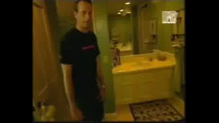 Tony Hawk In Cribs