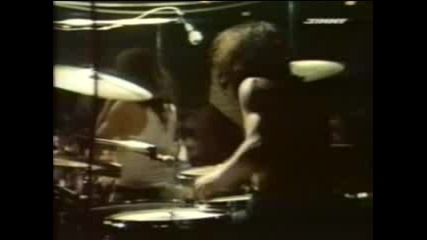 Deep Purle - Mandrake Root