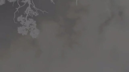 Zhemaitis - Memory Tree (bernie Allen Remix)