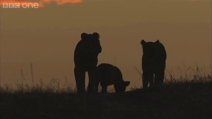 Richard Hammond sleeps out with the lions of the Masai - Planet Earth Live