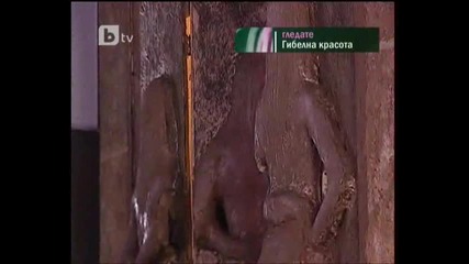 Bella Calamidades 76.2