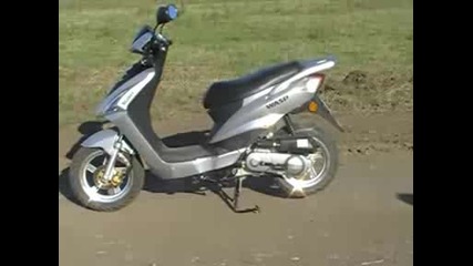 Scoot Wasp