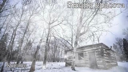 Зимна красота