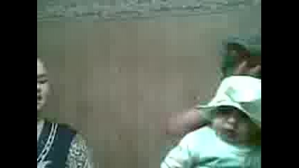 Stefi