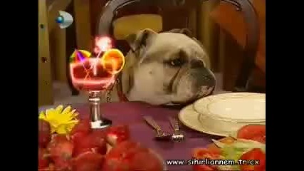 Sihirli Annem - 7.bolum / 5.kisim (2003-2006) ;;