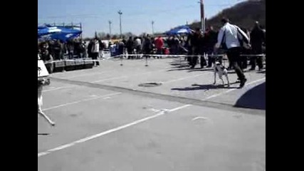 Mov00155.mpg