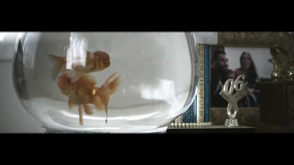 Maroon 5 - One More Night ( Official Music Video ) (hd)