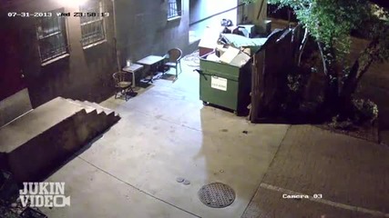 Кафява мечка спипана от охранителна камера да измъква храна от контейнера с боклук