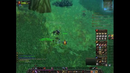 Wow Leveling Guide-duskwood