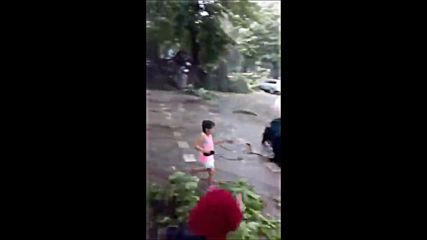 Падане на дърво на живо в Плевен 15.05.2018