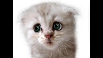 Най, ама Най - гадната музичка 