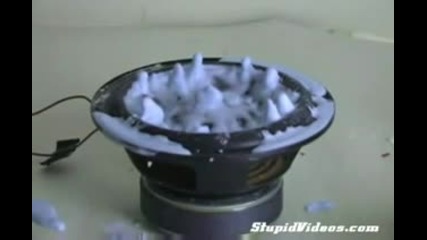 бас с форми от боя 